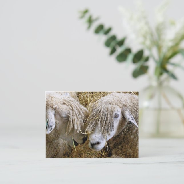 SHEEP BUSINESS CARD (Standing Front)
