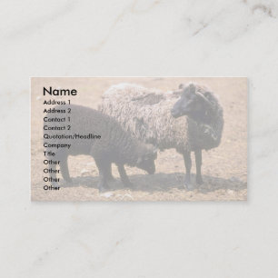 Sheep Business Card
