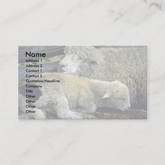 Sheep Business Card (Front)