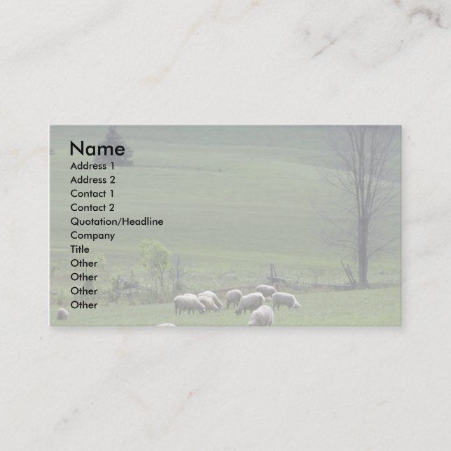 Sheep Business Card (Front)