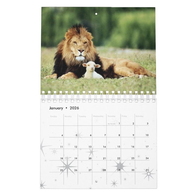 Sheep Calendar (Jan 2026)
