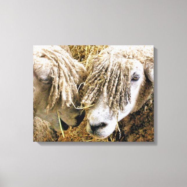 SHEEP CANVAS PRINT (Front)