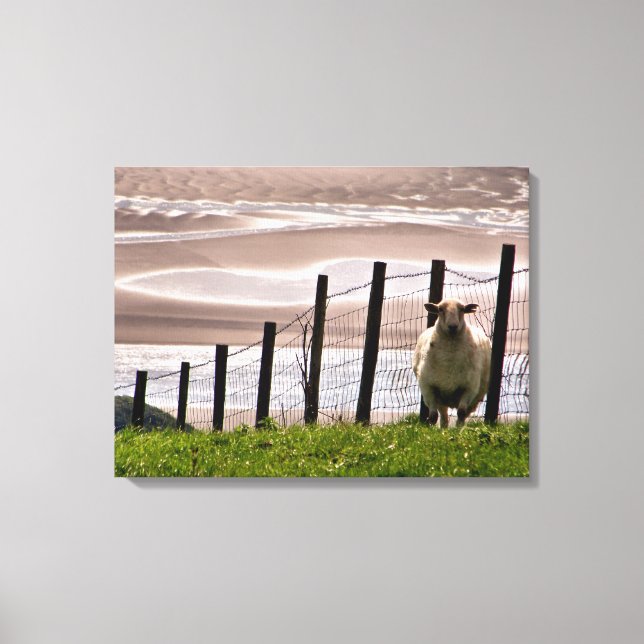 SHEEP CANVAS PRINT (Front)