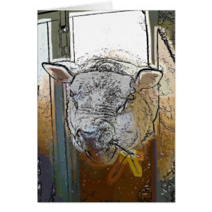 SHEEP Card
