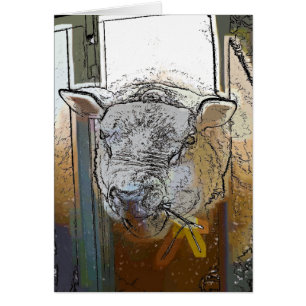 SHEEP card
