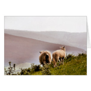 SHEEP CARD