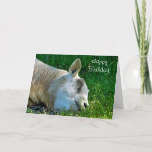 SHEEP CARD
