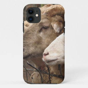 sheep iPhone 11 case