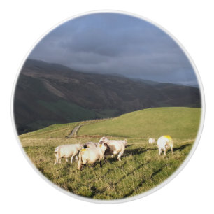 SHEEP CERAMIC KNOB
