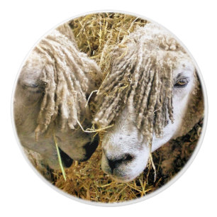 SHEEP CERAMIC KNOB