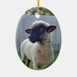 Sheep Ceramic Ornament