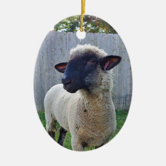 Sheep Ceramic Ornament (Front)