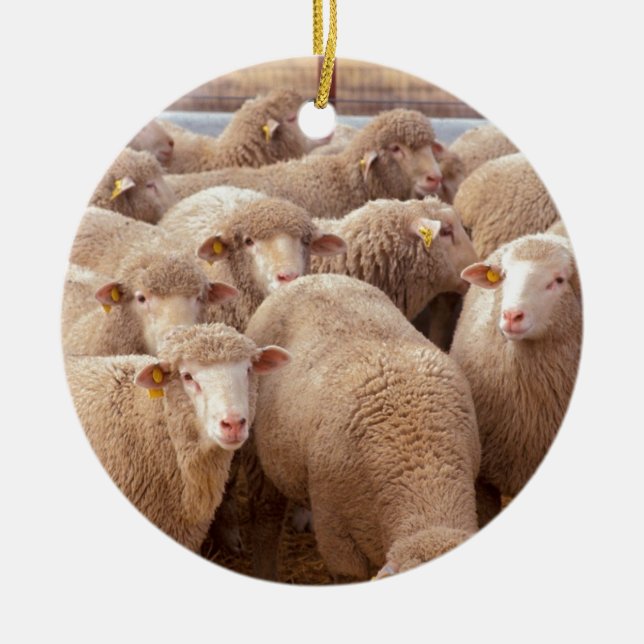 Sheep Ceramic Ornament (Front)