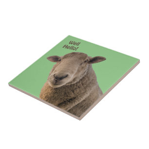 Sheep Ceramic Tile
