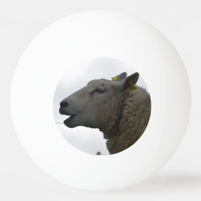 Sheep Chomping on Hay Ping Pong Ball (Front)