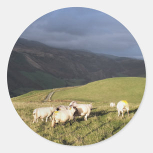 SHEEP CLASSIC ROUND STICKER