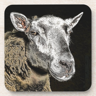 SHEEP COASTER