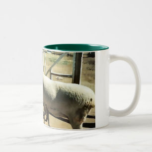 Sheep Cup