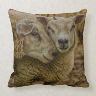 sheep cushion