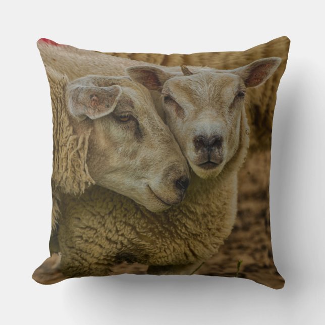 sheep cushion (Front)