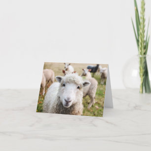 Sheep Custom Thank You Card
