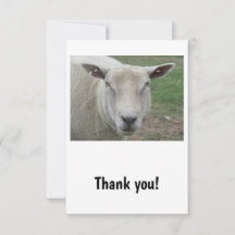 Sheep Design Thank You Card