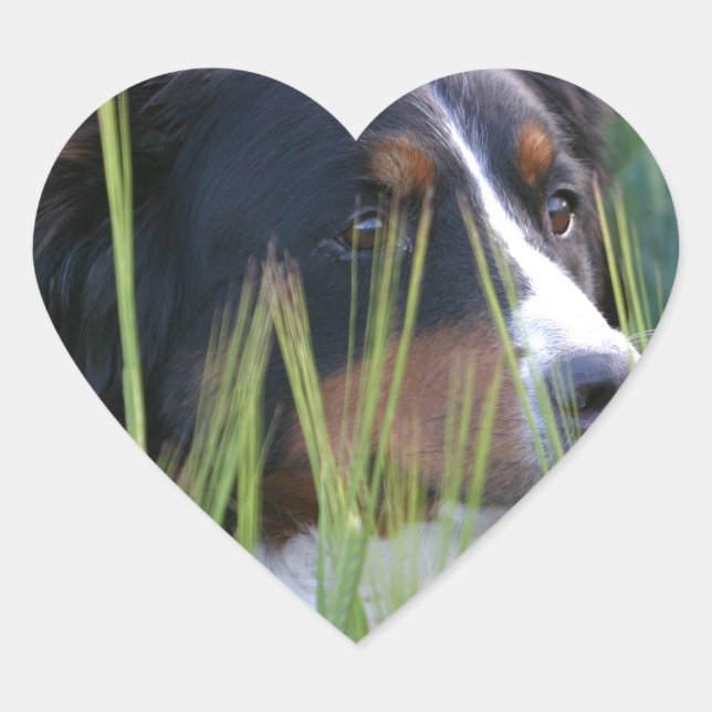Sheep Dog in Grass Heart Sticker (Front)