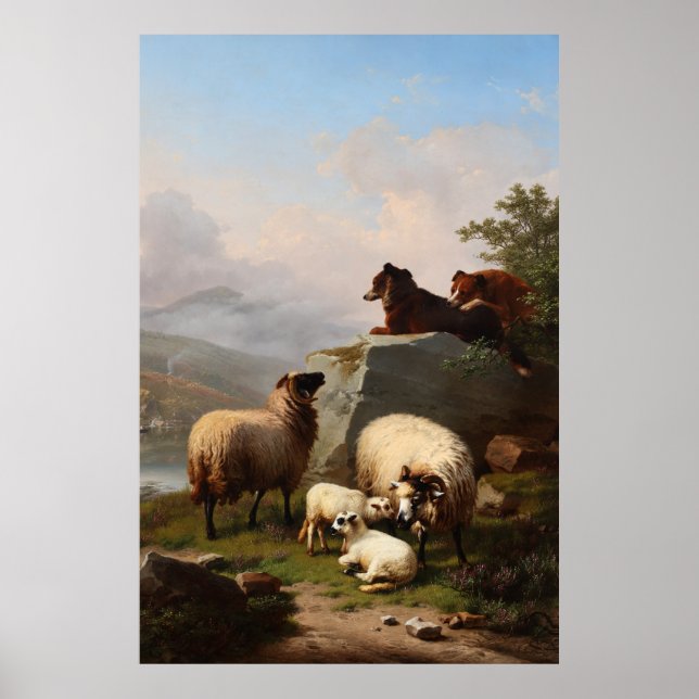 Sheep Dogs guarding the Sheep, Overlooking River Poster (Front)
