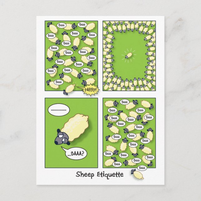Sheep Etiquette Postcard (Front)