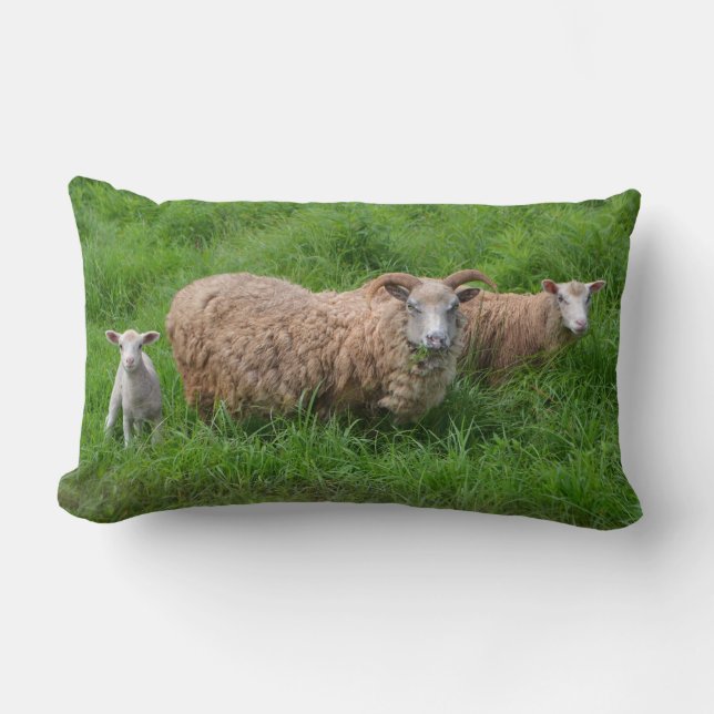 Sheep Family Pillow (Front)