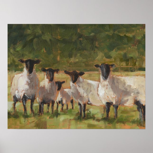 Sheep Family Poster (Front)
