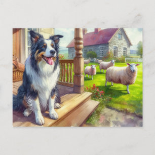 Sheep Farm and Border Collie Postcard