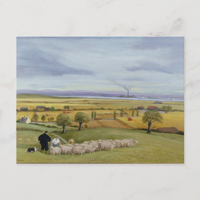 Sheep Farmer Isle of Sheppey Postcard (Front)