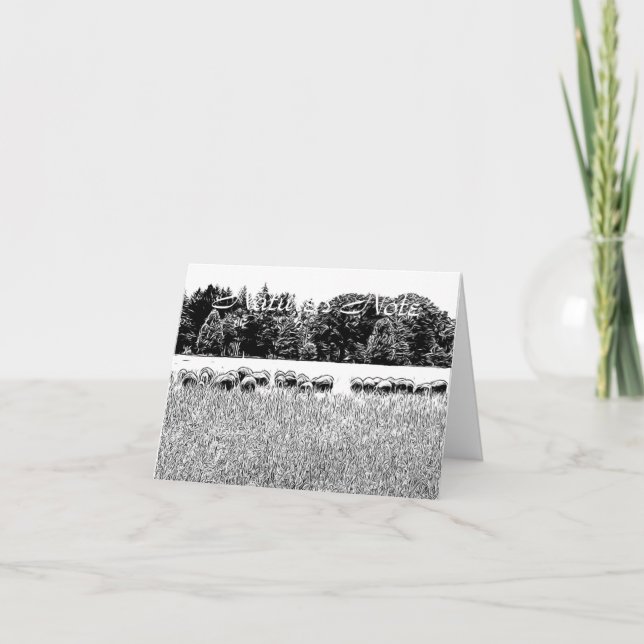 SHEEP FIELD PHOTO ANIMAL NOTE CARD (Front)