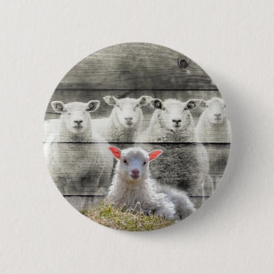 Sheep Flock Baby Lamb 6 Cm Round Badge