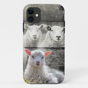 Sheep Flock Baby Lamb iPhone 11 Case