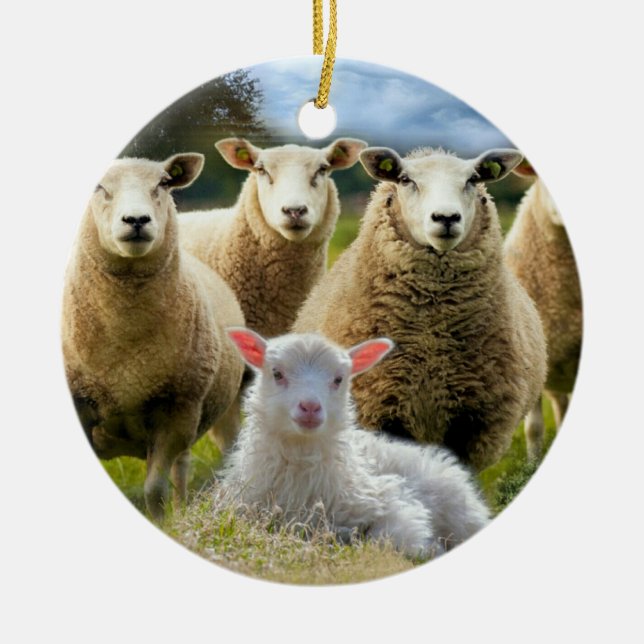 Sheep Flock Baby Lamb Ceramic Ornament (Front)