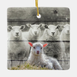 Sheep Flock Baby Lamb Ceramic Ornament