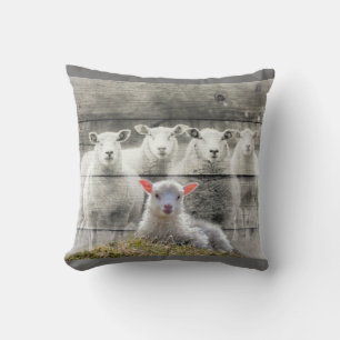 Sheep Flock Baby Lamb Cushion