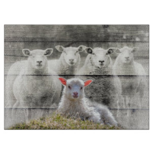 Sheep Flock Baby Lamb Cutting Board