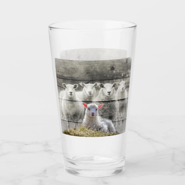 Sheep Flock Baby Lamb Glass (Front)