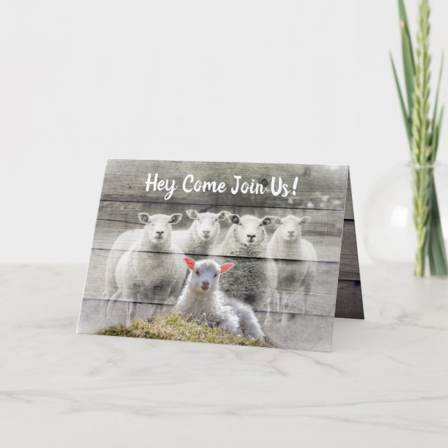 Sheep Flock Baby Lamb Invitation (Front)