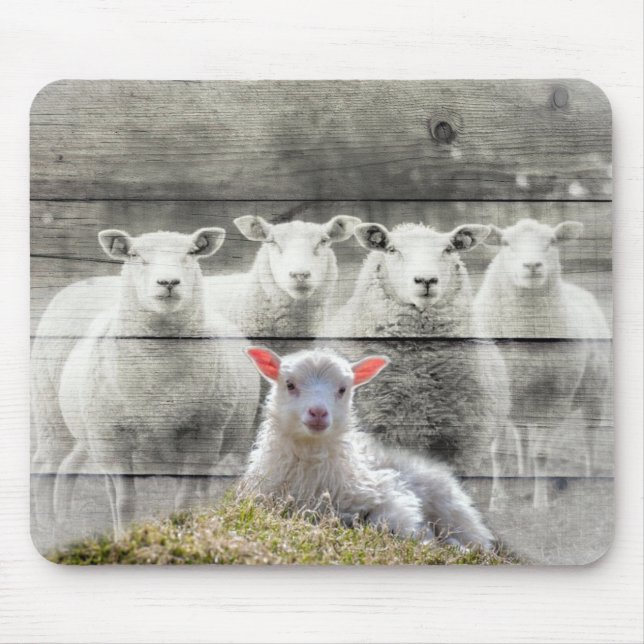 Sheep Flock Baby Lamb Mouse Pad (Front)