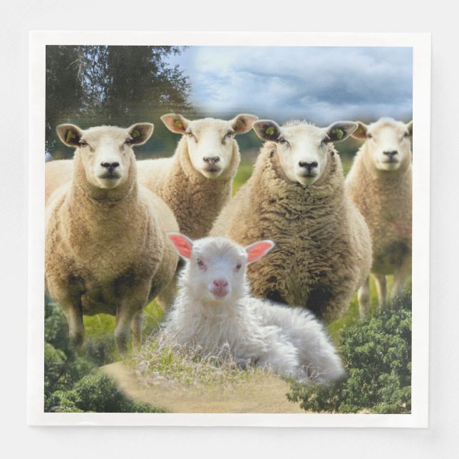 Sheep Flock Baby Lamb Napkin (Front)