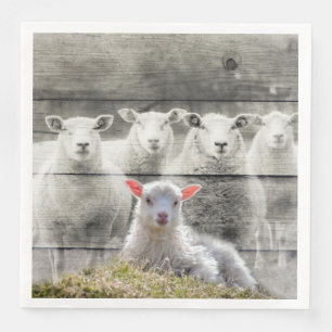 Sheep Flock Baby Lamb Napkin