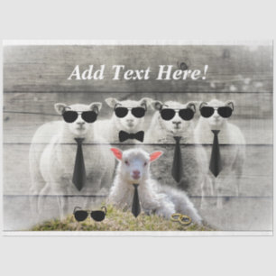 Sheep Flock Baby Lamb Tissue Paper