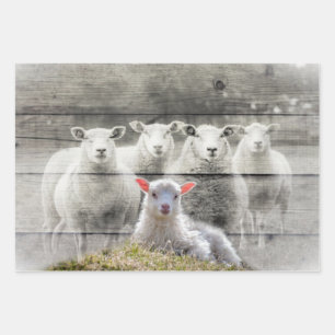 Sheep Flock Baby Lamb Wrapping Paper Sheet
