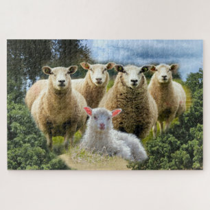 Sheep Flock Sheep Herd Baby Lamb Jigsaw Puzzle