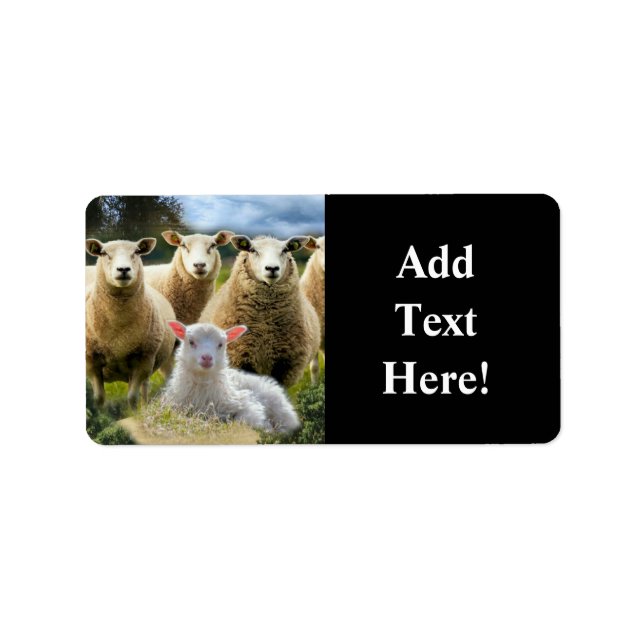 Sheep Flock Sheep Herd Baby Lamb Label (Front)