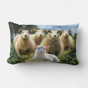 Sheep Flock Sheep Herd Baby Lamb Lumbar Cushion